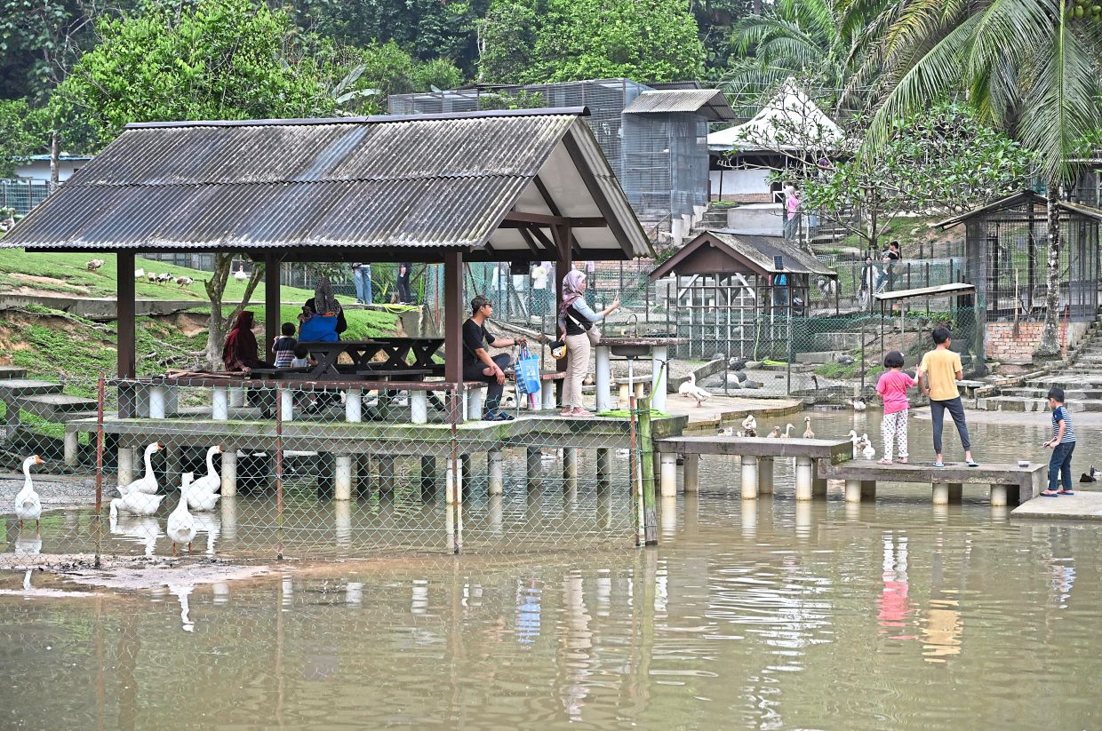 Visitors taking shelter at one the many gazebos at the park.