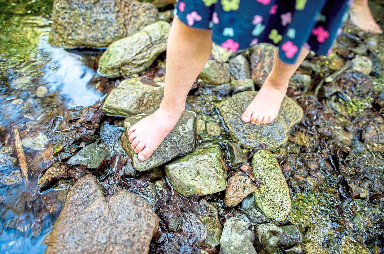 Studying outdoors can give youngsters more soft skills – and joy – but may not necessarily help with traditional school subjects, scientists say. Photo: Hauke-Christian Dittrich/dpa