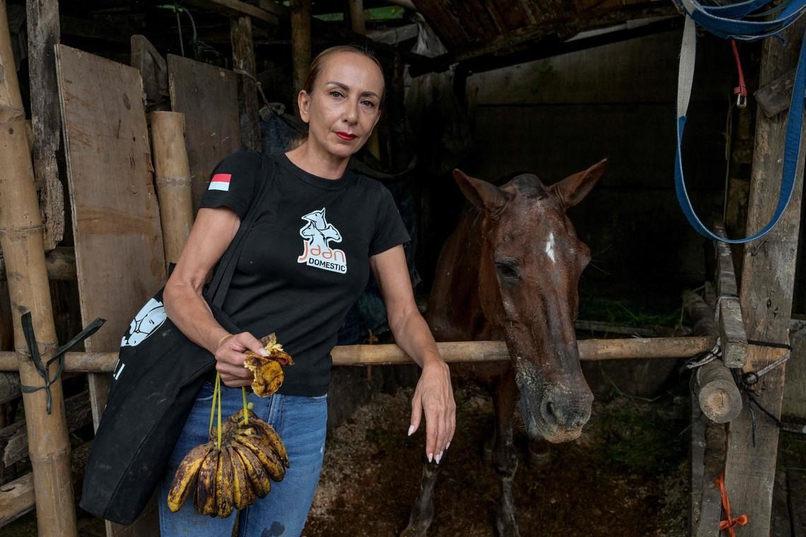 Animal rights activist Karin Franken with a horse in a vacant lot used as a stable and carriage parking lot in Jakarta. - Photo: AFP