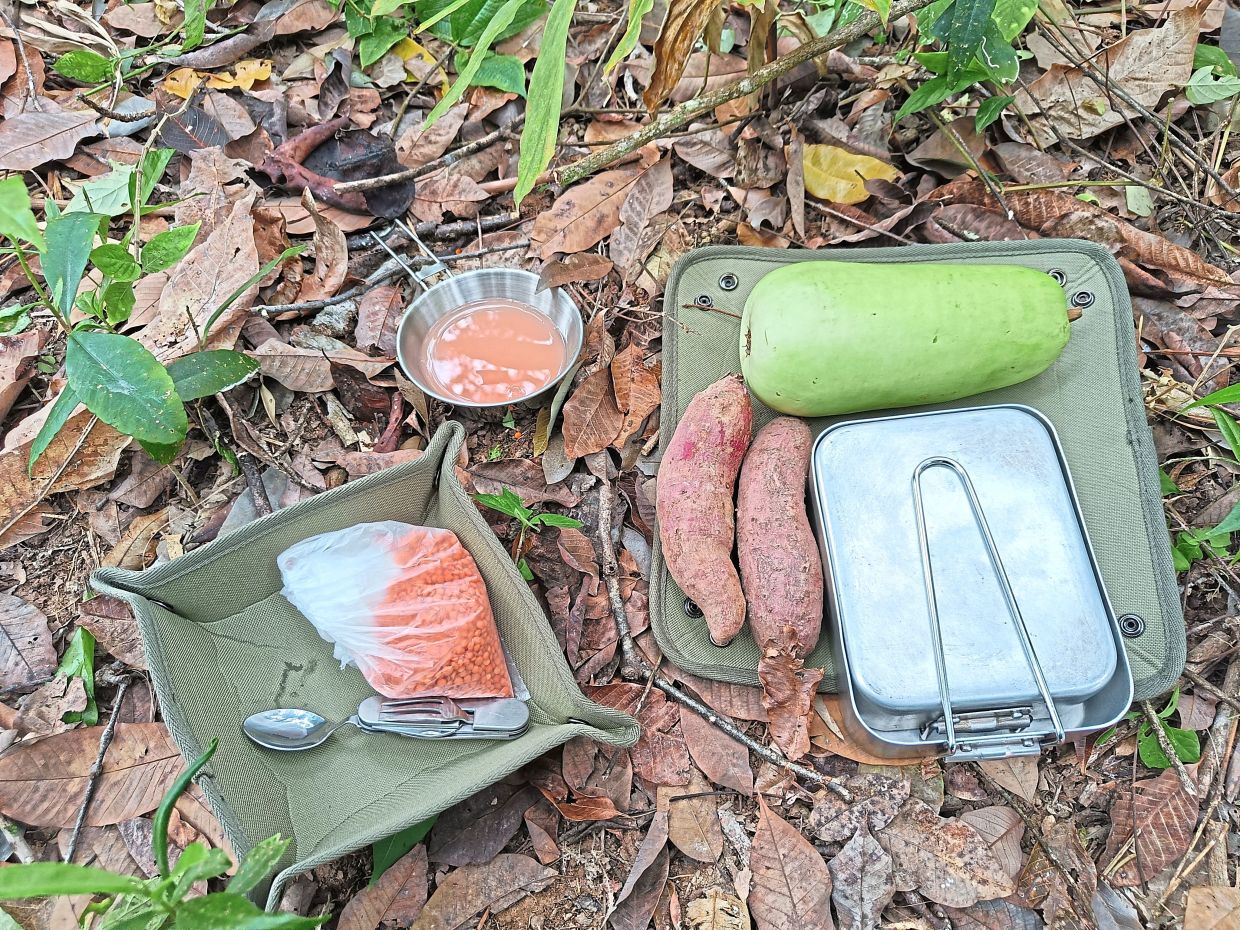 Ingredients for lentils-in-a-gourd soup, with two sweet potatoes for roasting.