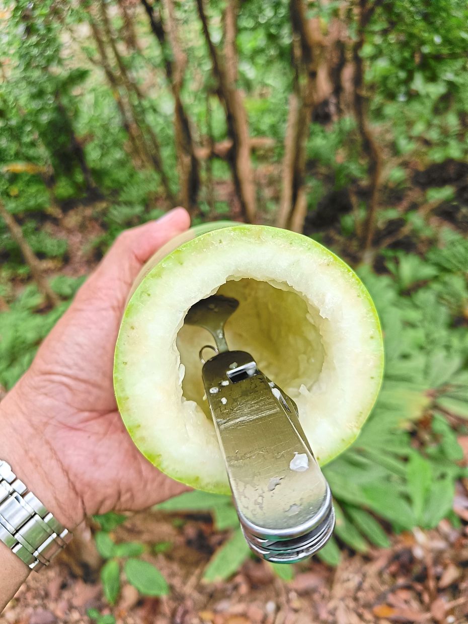 Hollowing out the gourd with a multi-tool camp spoon.