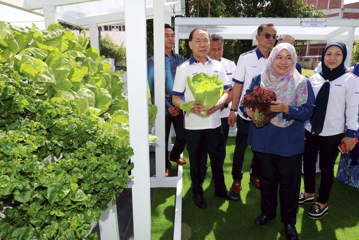 Mohd Annuar and Norsiyenti (centre) at the urban farming garden at SK Raja Dihilir Ekram in Ipoh.