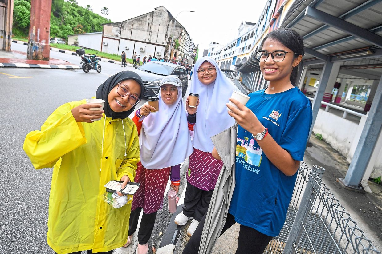 Themed fun walk in Klang draws big crowd | The Star