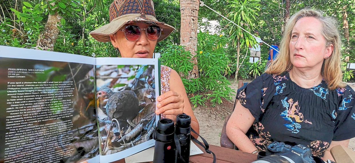 Tan showing a page from the book featuring the Philippine megapode.