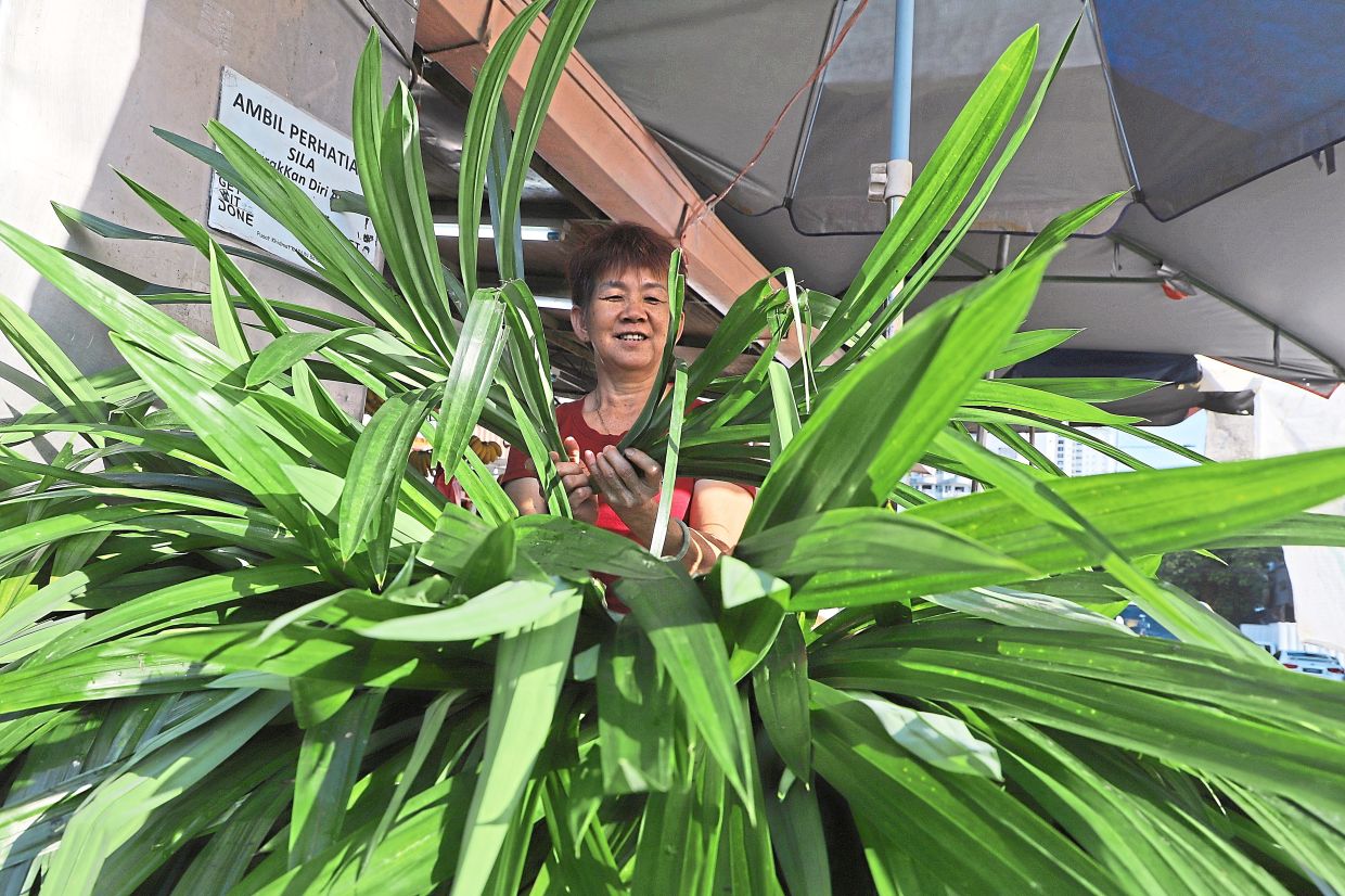 Pandan leaves available for sale at a stall at a market in George Town. — ZHAFARAN NASIB/LIM BENG TATT/The Star