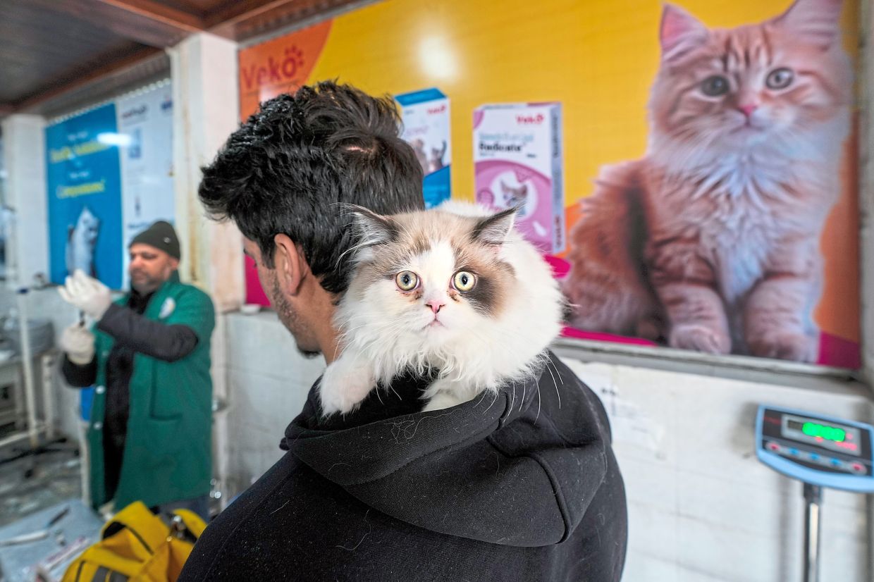 Only the best for my baby: A man waiting for his pet cat to receive treatment at a veterinary hospital in Kashmir. — AP