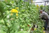 LPP aims to produce 5,000 entrepreneurs this year