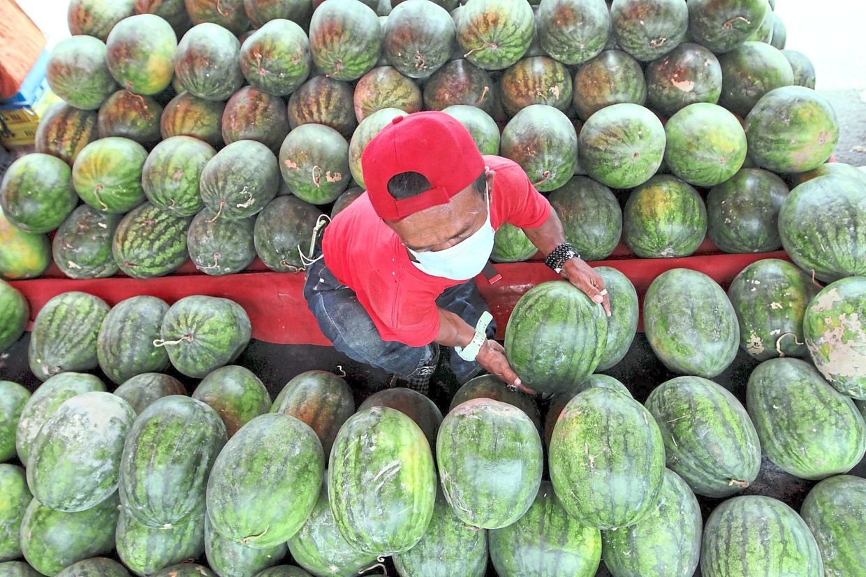 Watermelon and Ramadan: Nasir Mokhtar preparing watermelon to be sold at Teluk Pulai, Klang priced between RM10 and RM30 per fruit. — KK SHAM/The Star