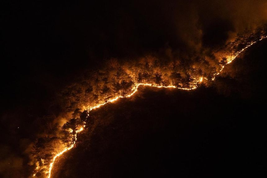 Tens of thousands of people in the south-east had to evacuate from the wildfires. -- PHOTO: NYTIMES