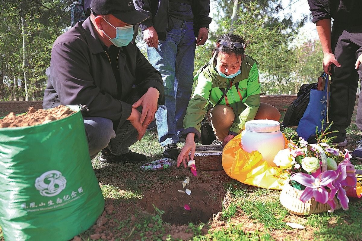 Flower petals are laid with the remains of the diseased during a tree burial ceremony. - Photo: China Daily