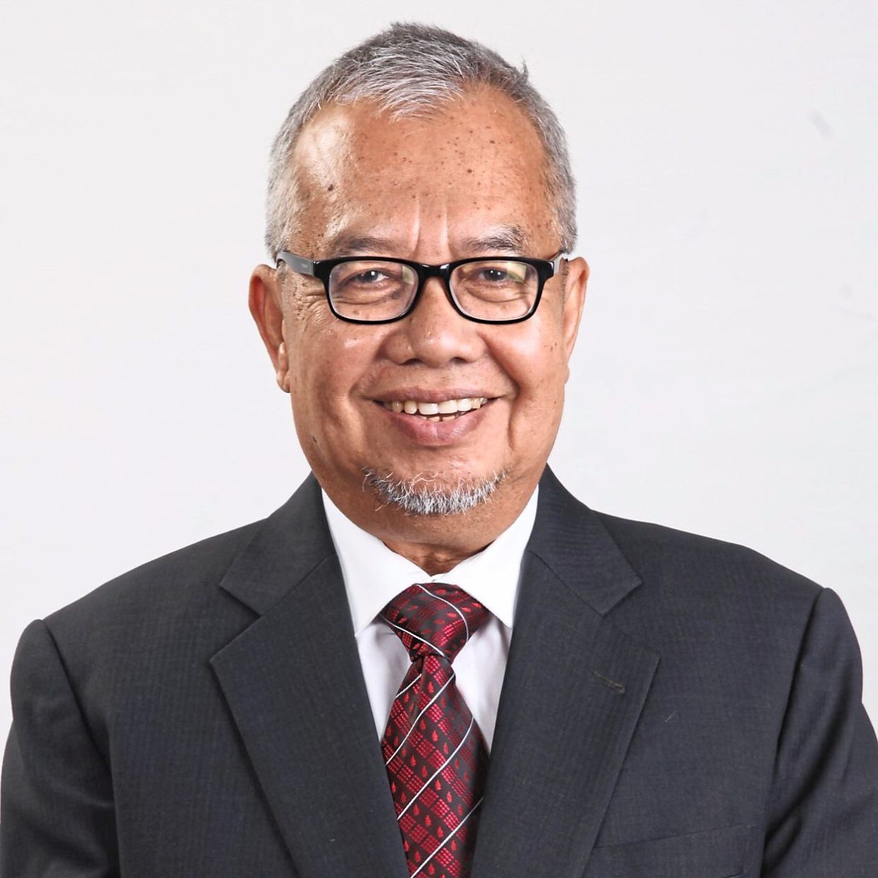 Prof Ahmad
