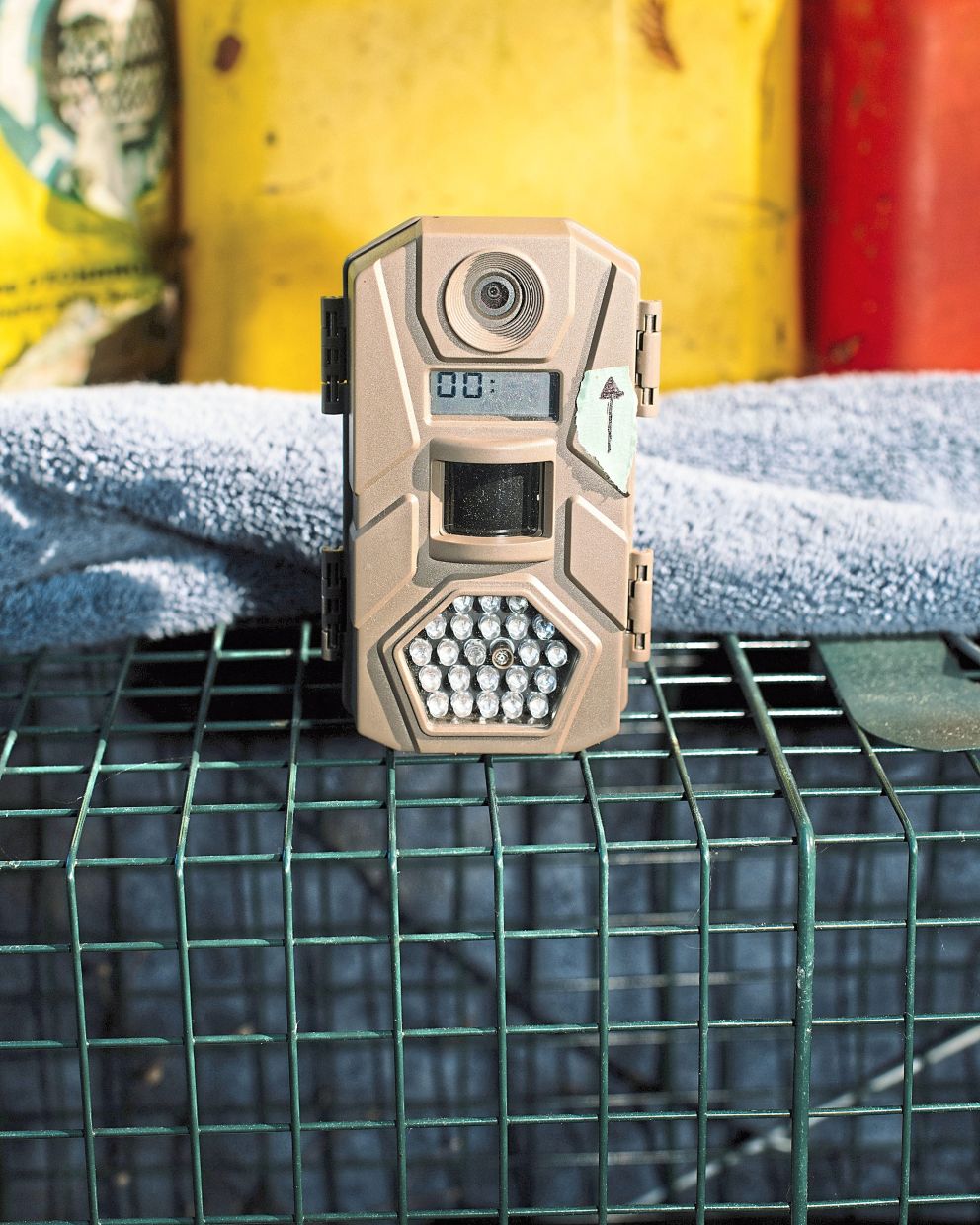 A motion-sensor camera helped Albrecht, a lost-pet detective, find missing animals.