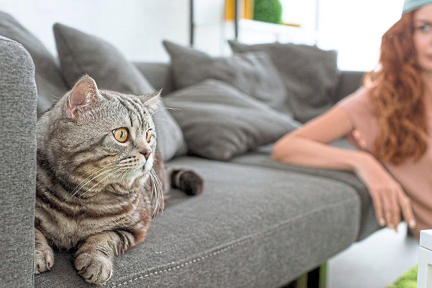 Kaza said in an email that he suspects that it’s the real animal sounds used in the production of the movie that attract the attention of pets. — 123rf