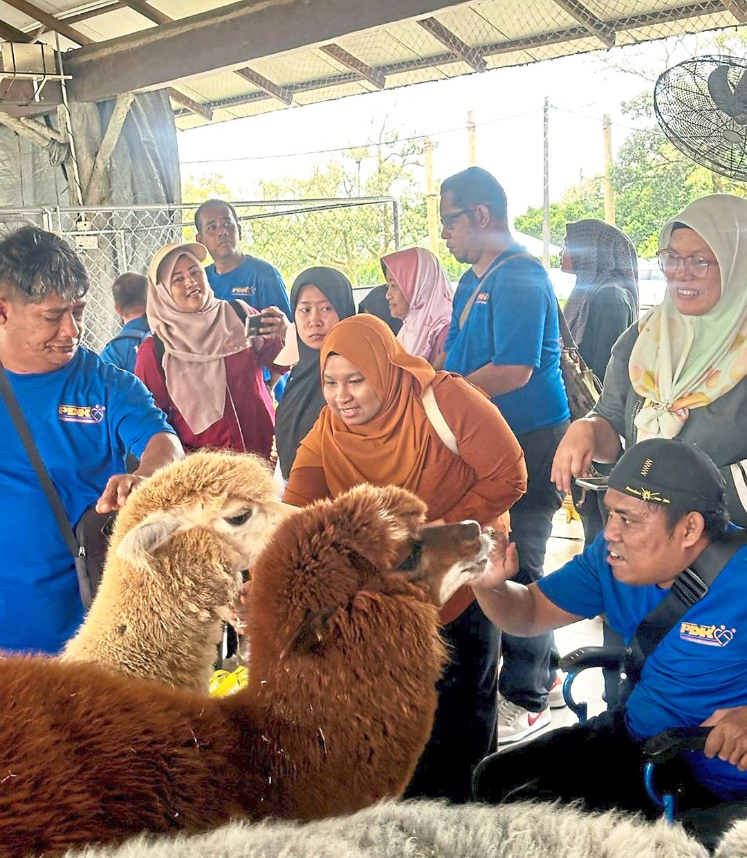 Visitors from PDK Felda Air Tawar 5 learning about the animals at the mini petting zoo. Youths enjoying the interactive farm tour. — Courtesy photos
