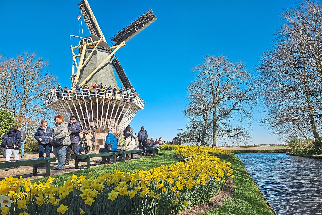 The Keukenhof garden in Lisse is open for only eight weeks in spring, when the tulips and other flowers are in full bloom. — Photos: AP