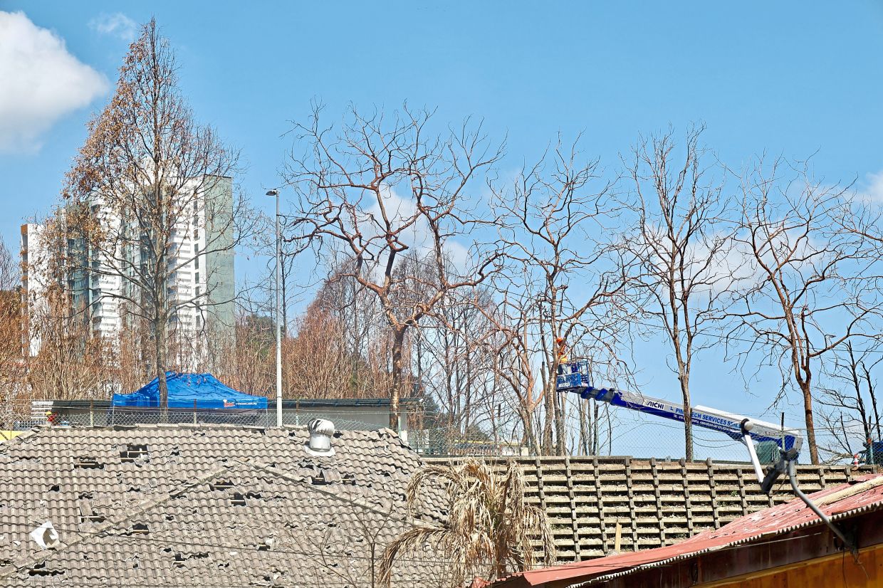 Ongoing operation: Workers felling burnt trees at Kampung Kuala Sungai Baru.
