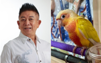 Singaporean actor Henry Thia offers reward for return of lost bird