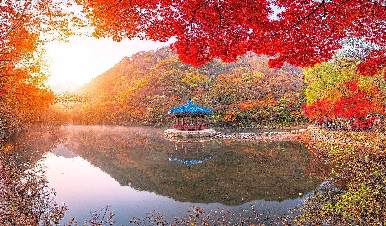 Take in the mesmerising autumn hues of Naejangsan National Park in South Korea.