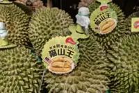 Malaysian durian sales surge in China amid growing demand for naturally ripened fruit