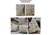 RM2.64m of Europe-bound drugs seized