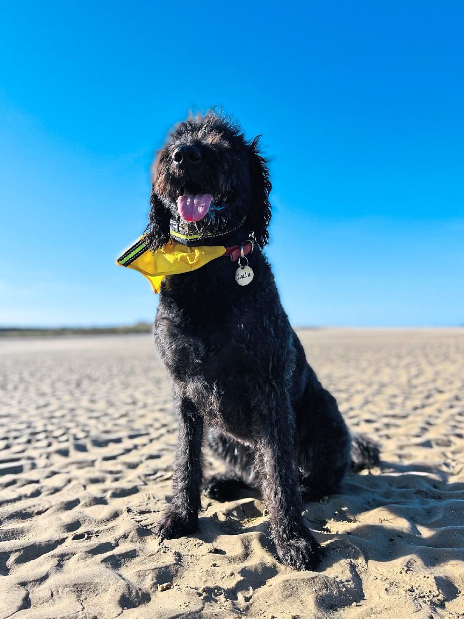 Lulu having a blast at the beach. — Photos: JUDY ANG 