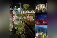 GOF foils bid to smuggle bonsai trees worth over RM1mil in K'tan