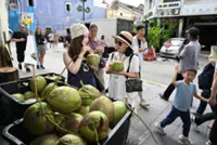 Sending coconuts to China lauded