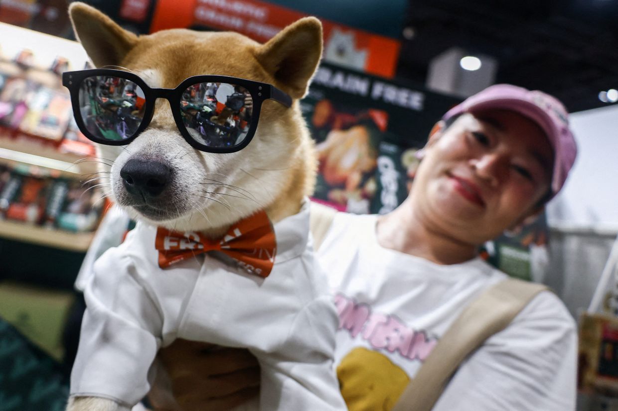 A woman holds a Shiba Inu wearing a costume at the Pet Expo Thailand in Bangkok, Thailand. - Photo: REUTERS/Chalinee Thirasupa