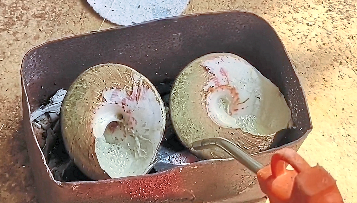 Trochus壳在自己的果汁中用燃烧的木炭在大锡罐中煮熟。