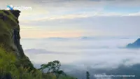 Thailand closes Phu Chi Fa viewpoint to tourists following fighting on Lao border
