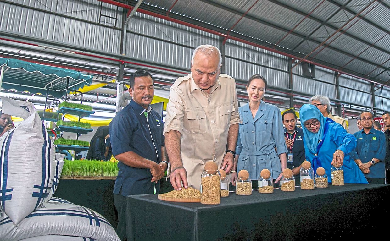 Industry reform: Sultan Nazrin (second from left) alongside Tuanku Zara (third from left) attending the official opening of the Perak Farmers’ Organisation’s Certified Padi Seed Production Centre. — Bernama