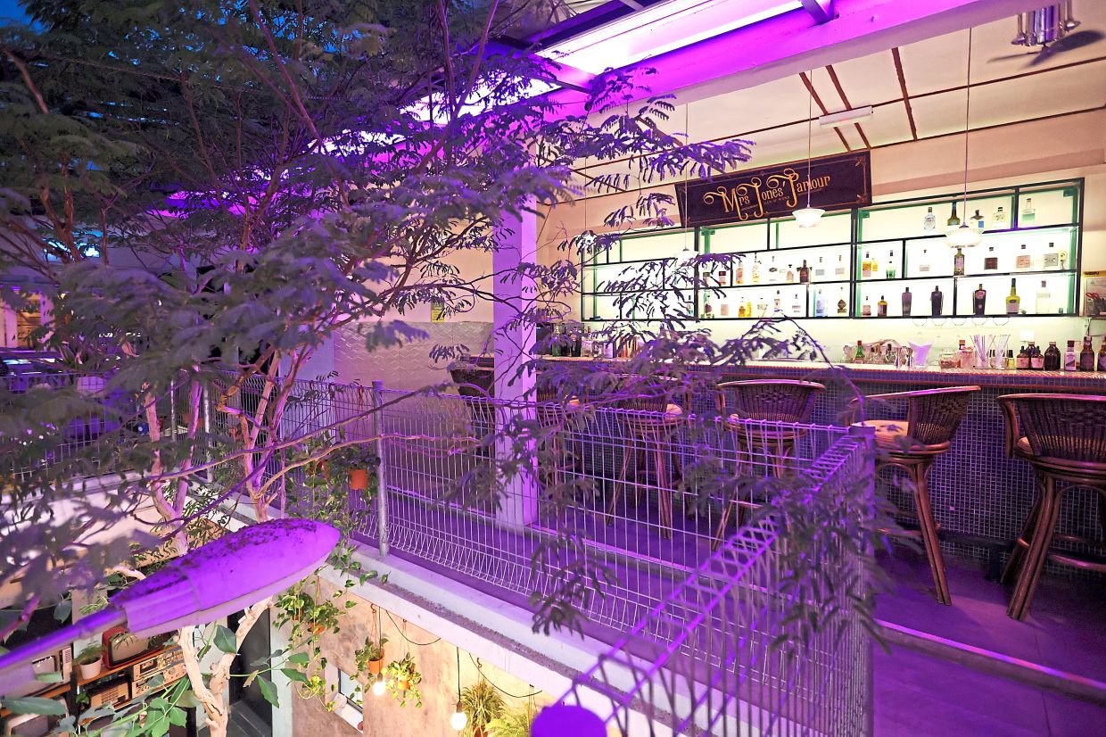 A leopard tree grows in the central courtyard of the cafe and bar.