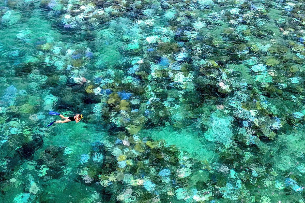 Tourists snorkelling above bleached and dead coral around Lizard Island on the Great Barrier Reef. — AFP
