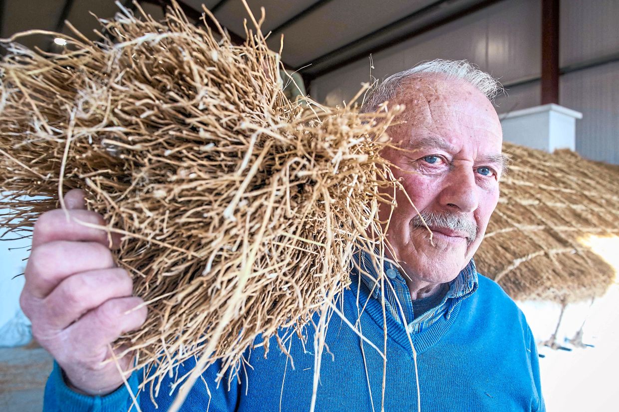 Lafferty showing a thatching rope; and a closeup of a thatching rope. — AFP