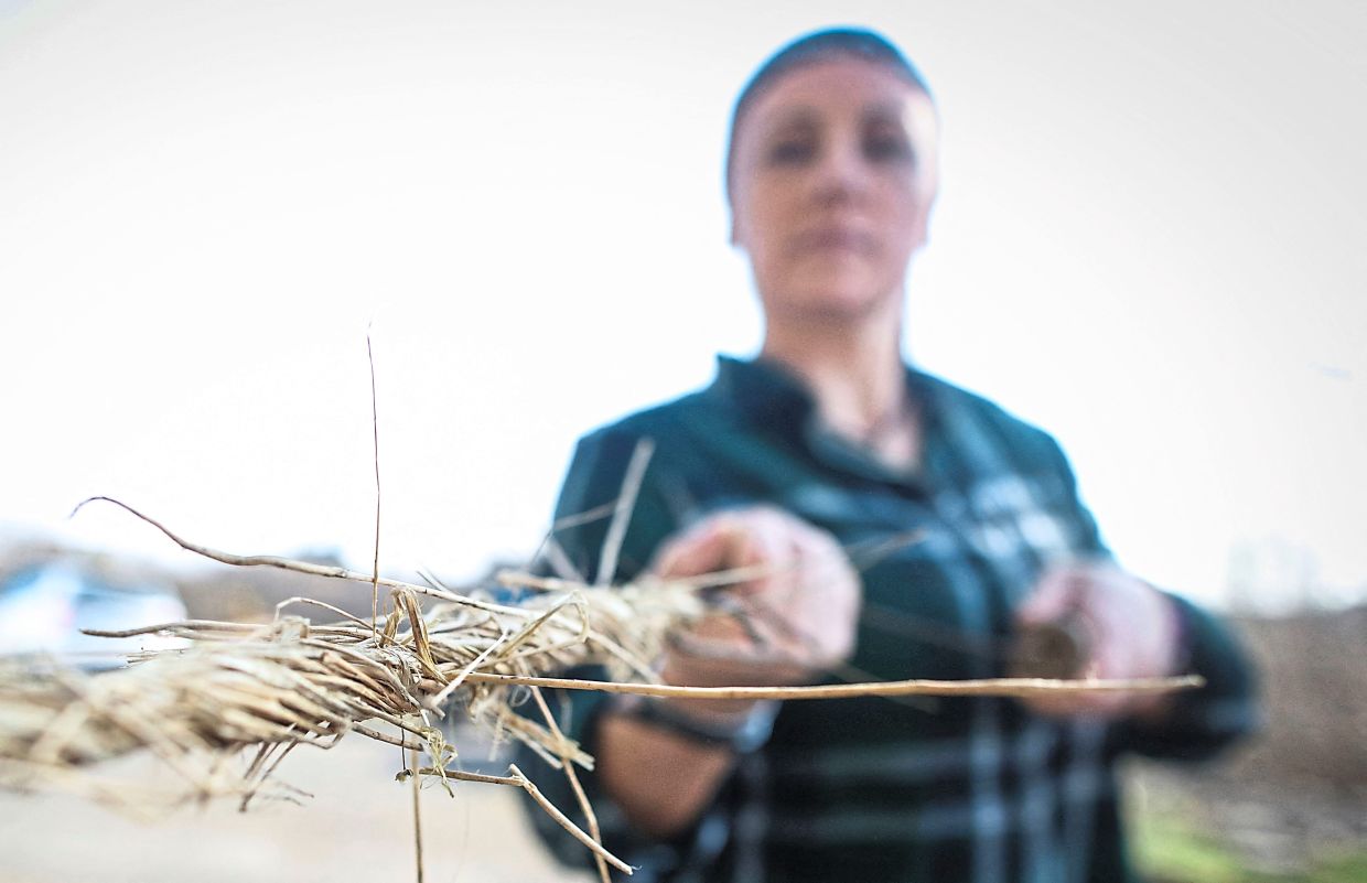 A closeup showing how rope thatching is made; and rope thatching attached to a wall. — AFP