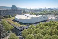 Eurovision fans find Swiss franc’s latest surge hitting a sour note