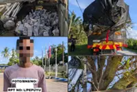 RM5.5mil worth of plants and vehicle seized;  plants belie­ved to have been smuggled from Thai­land