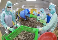 Seafood industry will diversify market to achieve Vietnam export target