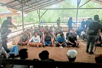 Gamblers didn’t bet on raid as cops end cock fights