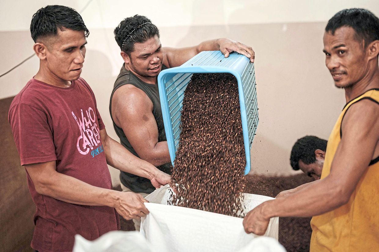 Workers putting cloves into a sack at a spice sorting shop in Ternate, North Maluku. 