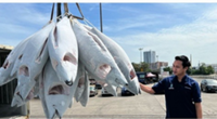 Penang's tuna landing industry surged sharply last year, says exco man