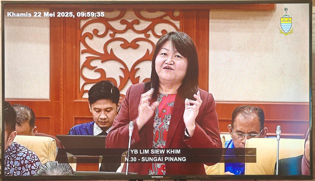 Lim said Penang’s homeless transit centre has provided aid to almost 500 people since it opened in September 2023.