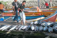 UN ocean summit critical to its protection