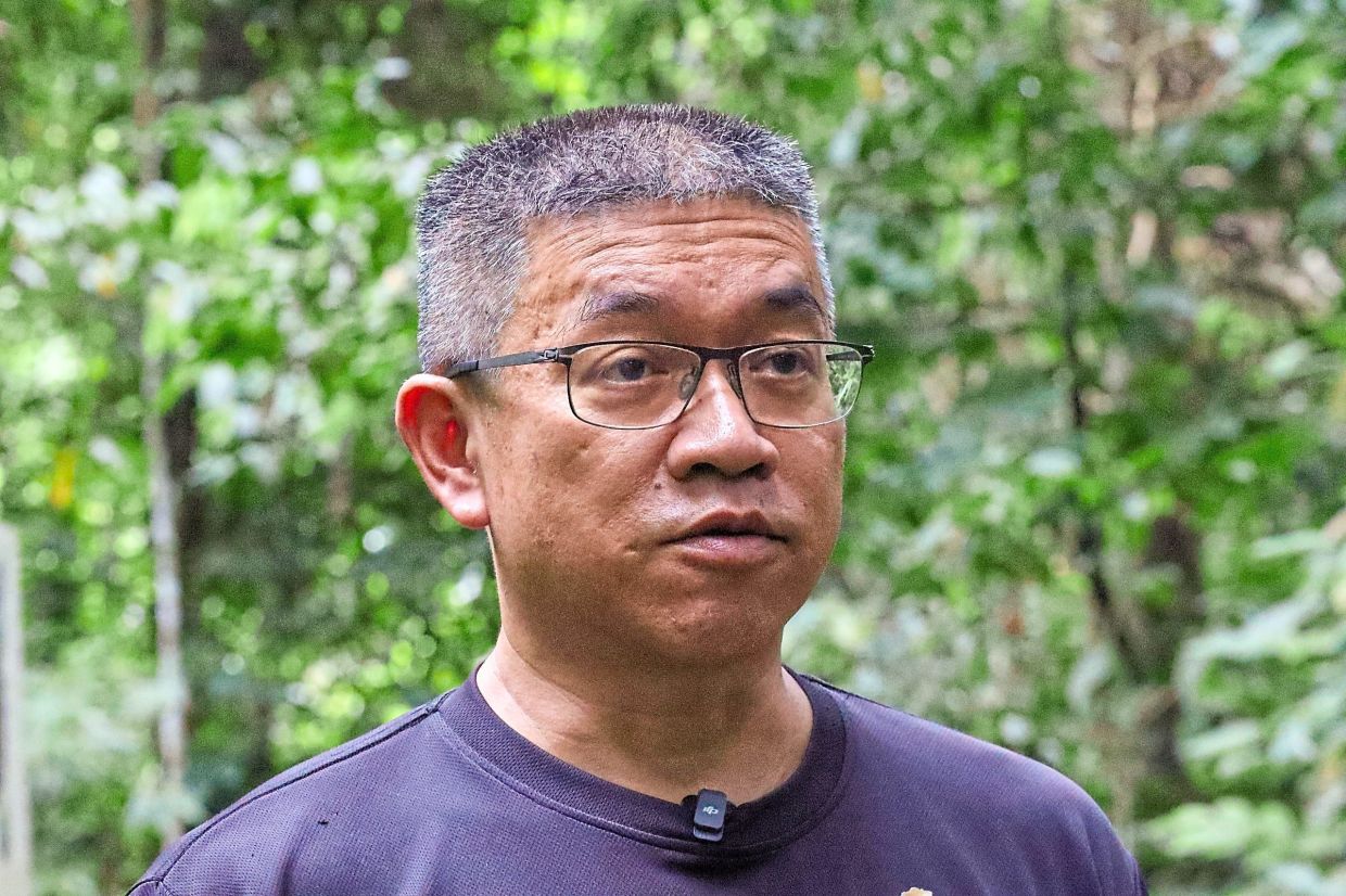 Wong says the centre has rescued 70 sun bears since its founding in 2008.