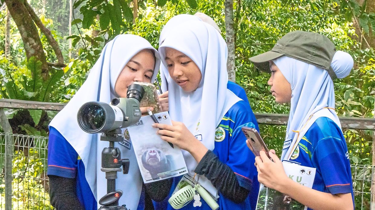 Sabah; Students using spotting scopes and guidebooks while observing the bears.