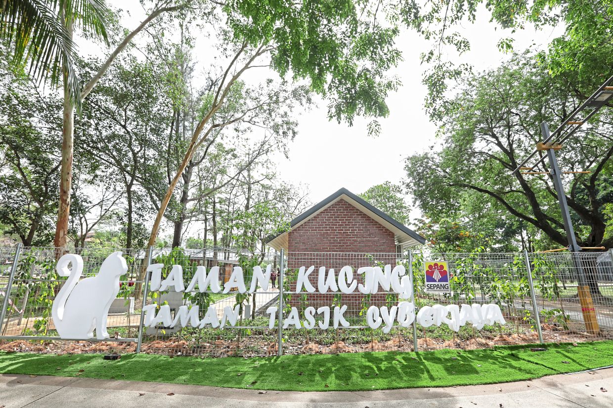 Council-run cat park has treated 162 cats and rehomed 110. — Filepix