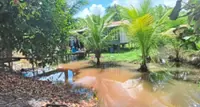 Mangroves, hope and a blue carbon future