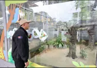 Johor Zoo beats the heat with blood ice cubes and fruit popsicles