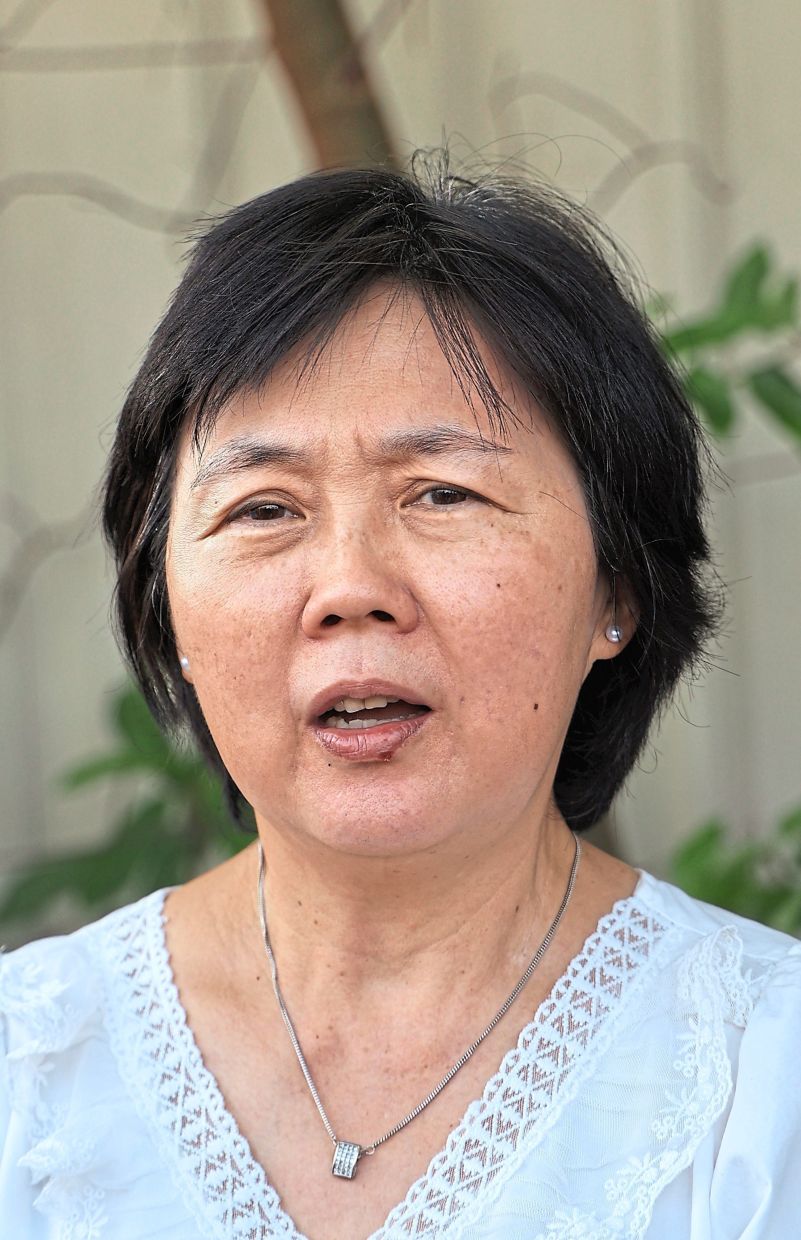 Tan: Land designated for community use has been turned into development zones.