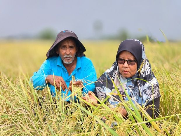 Jafli Latu and Terpilih Sunus looking at their yields.